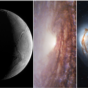 Megan Donahue elected president of the American Astronomical Society